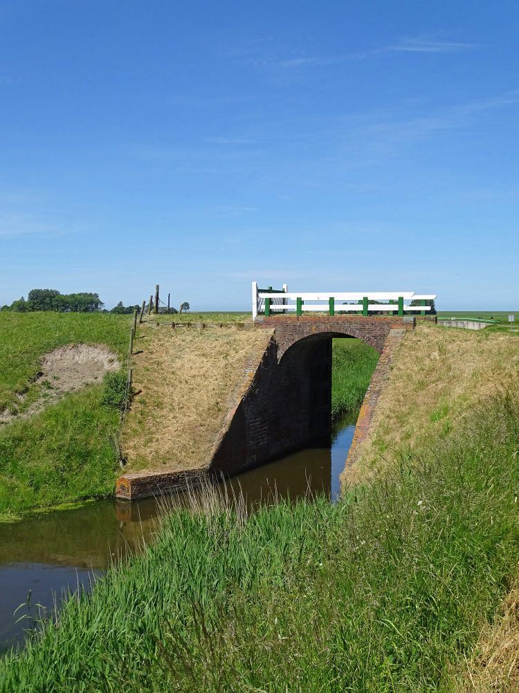 Hoogeland